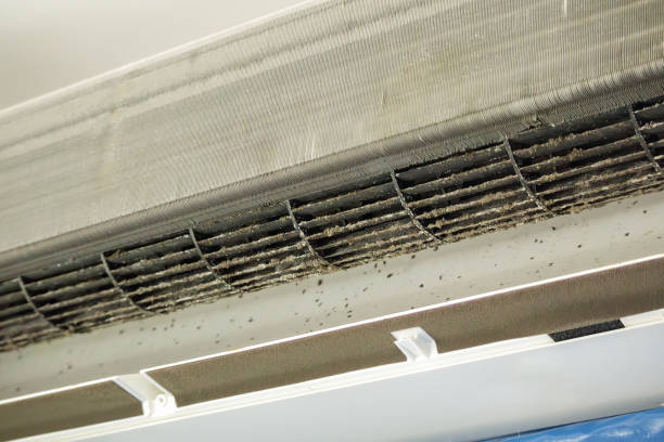 Best Residential Air Duct Cleaning  in Plum Grove, TX